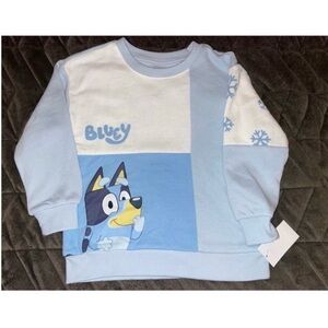 2T Toddler Bluey Sweatshirt